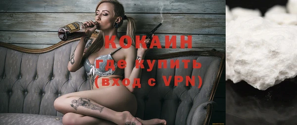 гашик Арсеньев