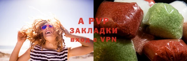 гашик Арсеньев