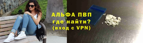 гашик Арсеньев