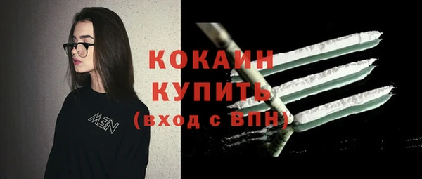 гашик Арсеньев