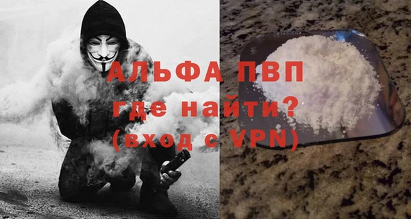 гашик Арсеньев