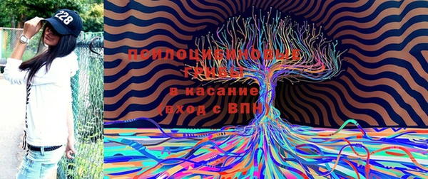 2c-b Армянск