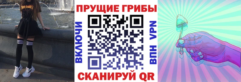 Псилоцибиновые грибы мицелий даркнет сайт Кондрово